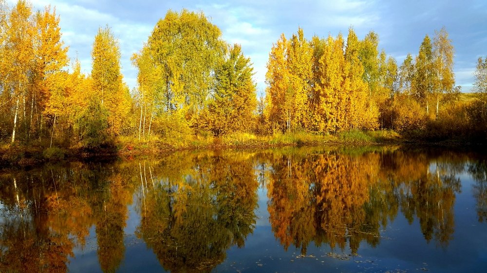 Photograph by Борис Каширин