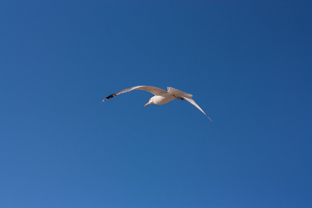 Photograph by Наталья Доброквашина