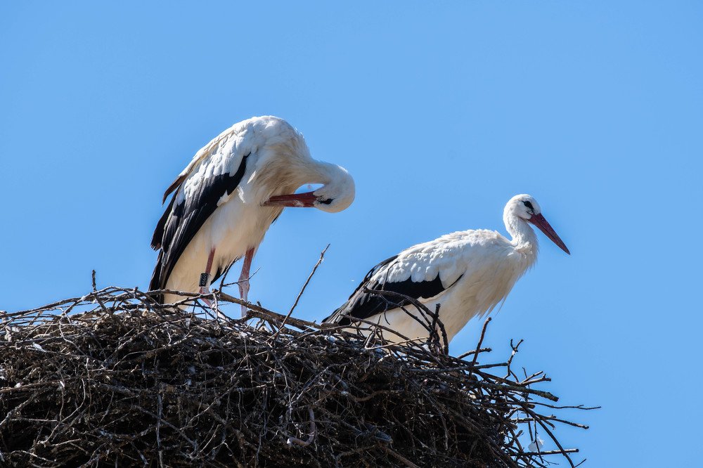 Photograph by Schewzow Lana