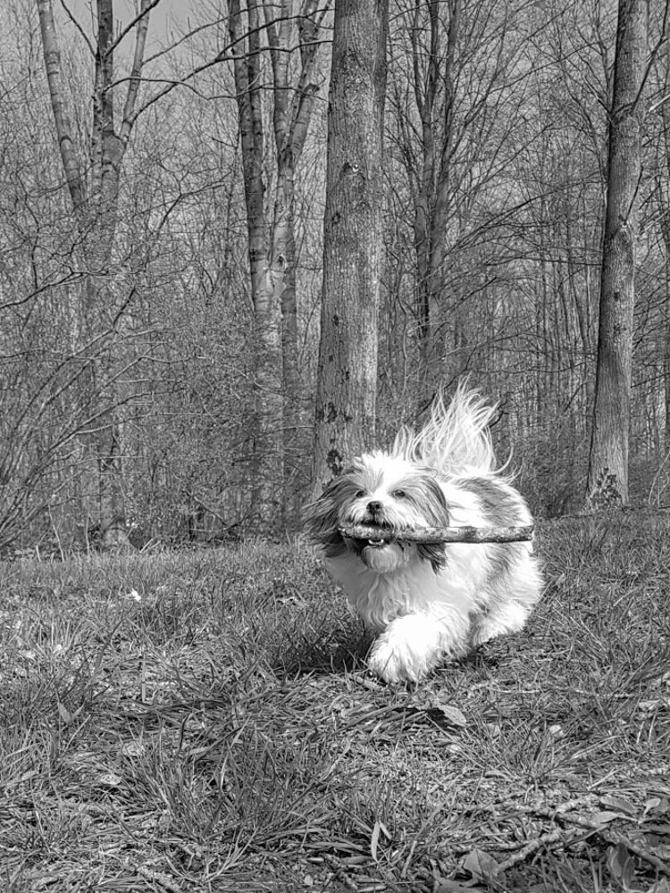 Photograph by Anneliese Wilpe