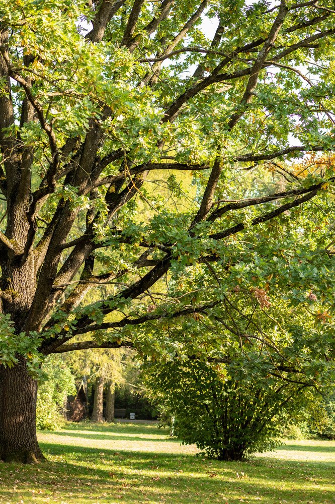 Photograph by Наталья Пагоцкая