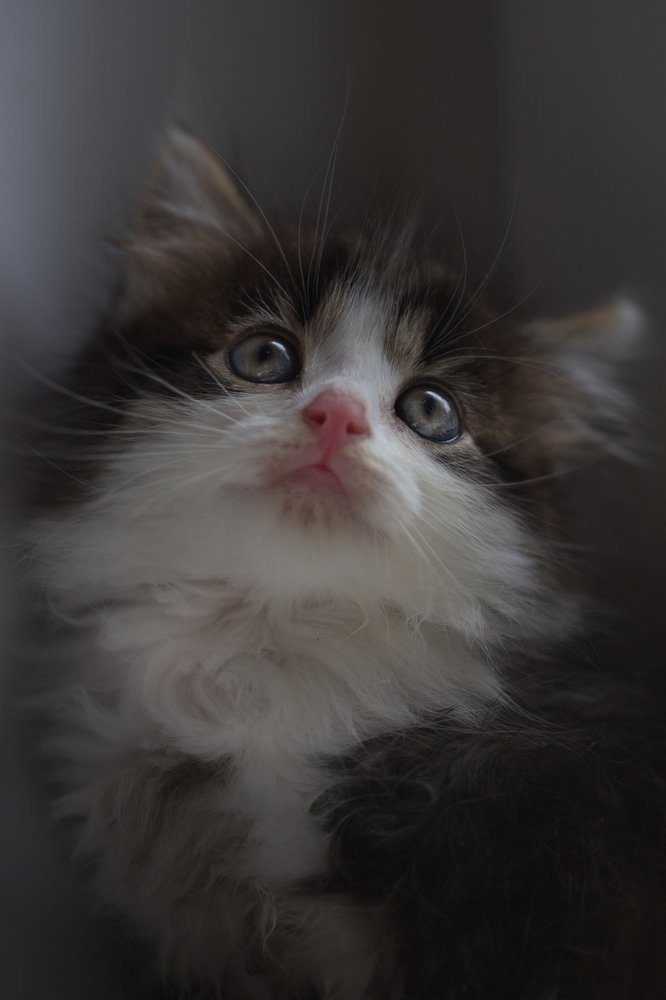 Photograph by Светлана Алексеева