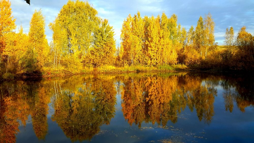 Photograph by Борис Каширин