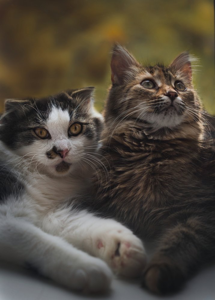 Photograph by Светлана Алексеева