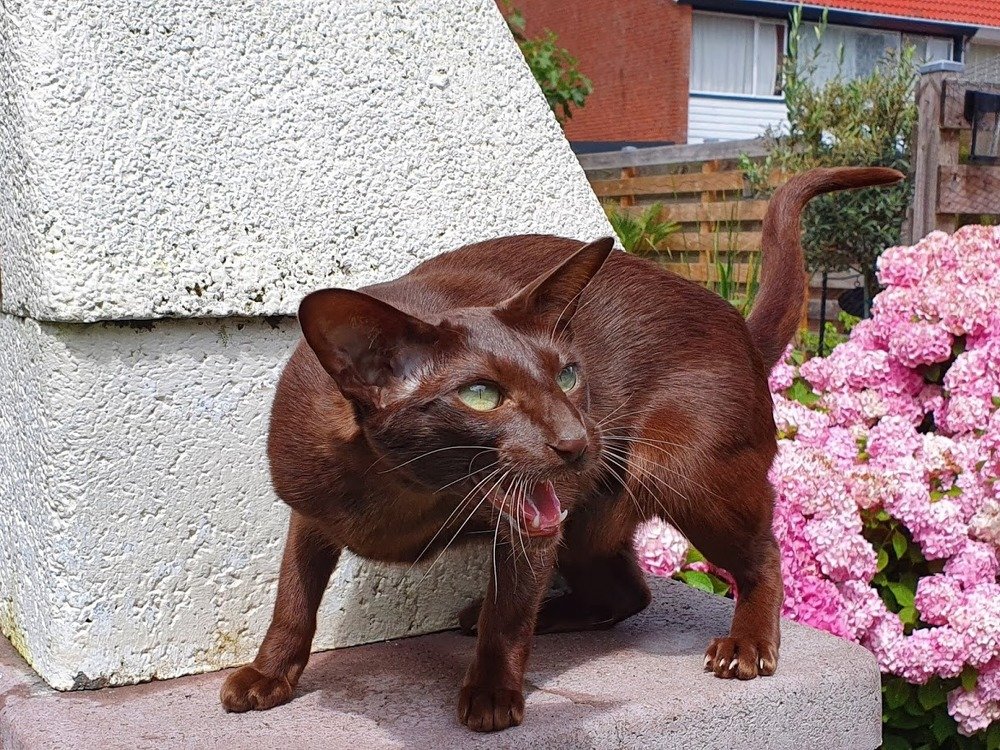 Photograph by Anneliese Wilpe