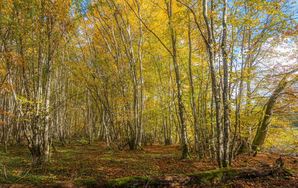 Photograph by LYUDMYLA POKRYSHEN