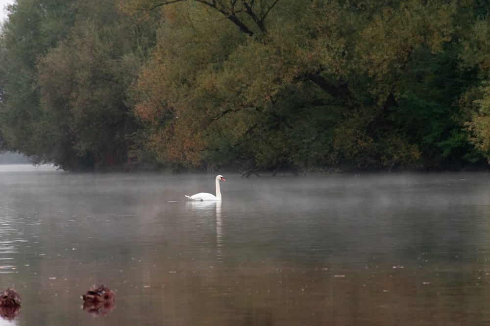 Photograph by Людмила Комарова