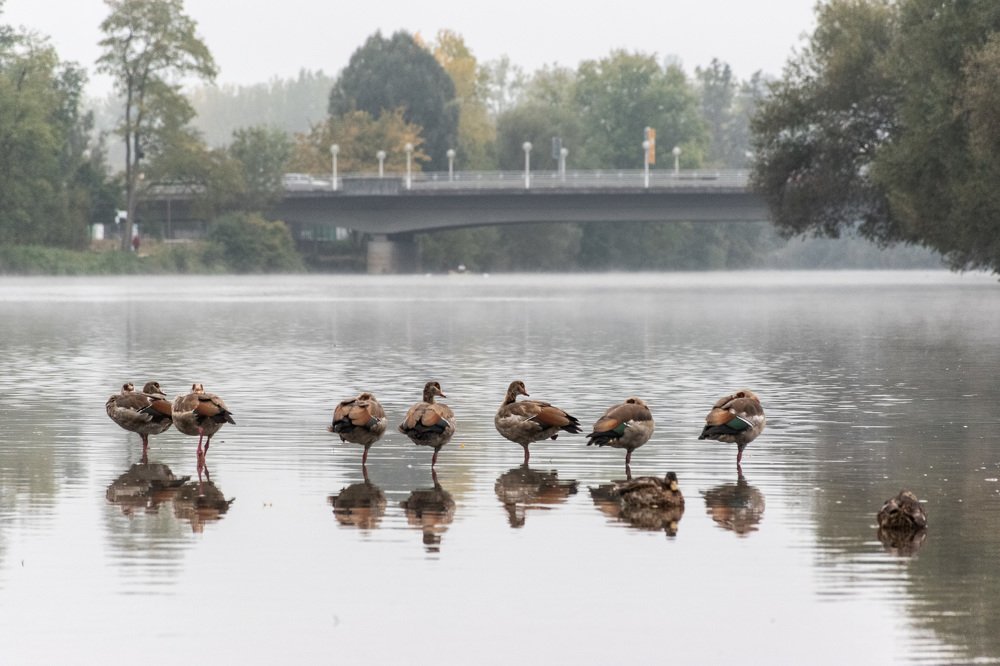 Photograph by Людмила Комарова