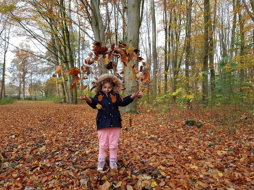 Photograph by Anneliese Wilpe