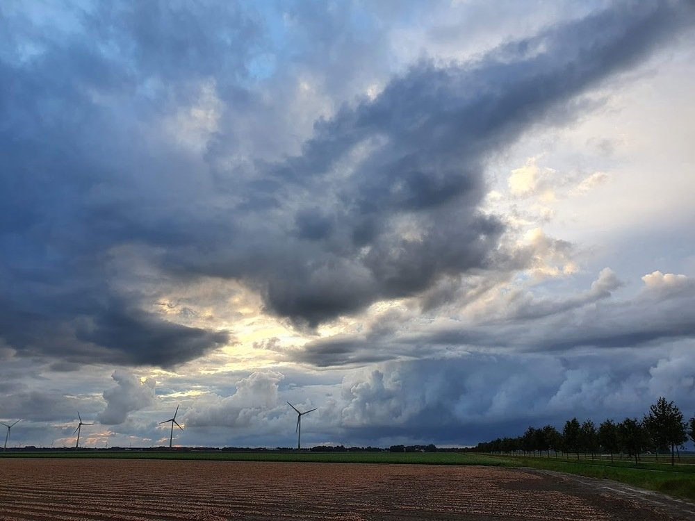 Photograph by Anneliese Wilpe