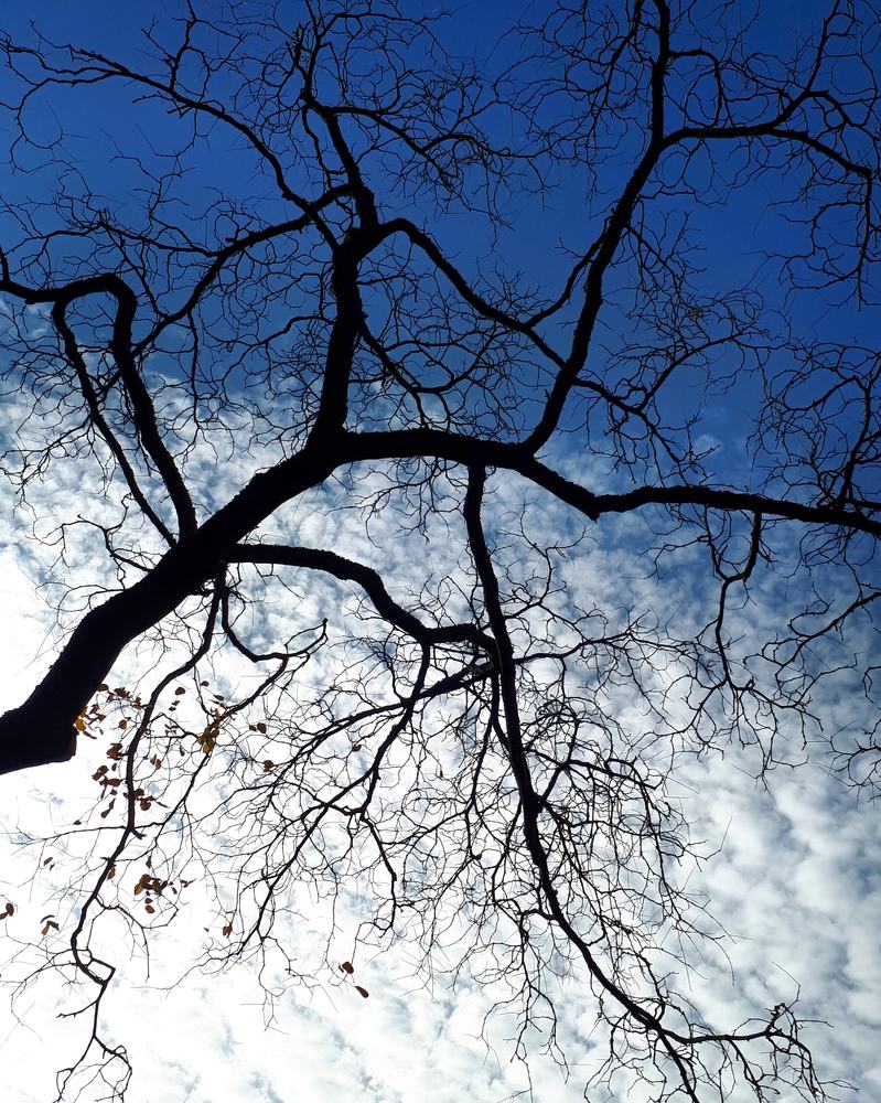 Photograph by Ирина Калюжная