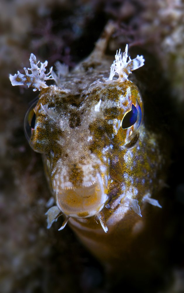 Photograph by Юрий Перевозников