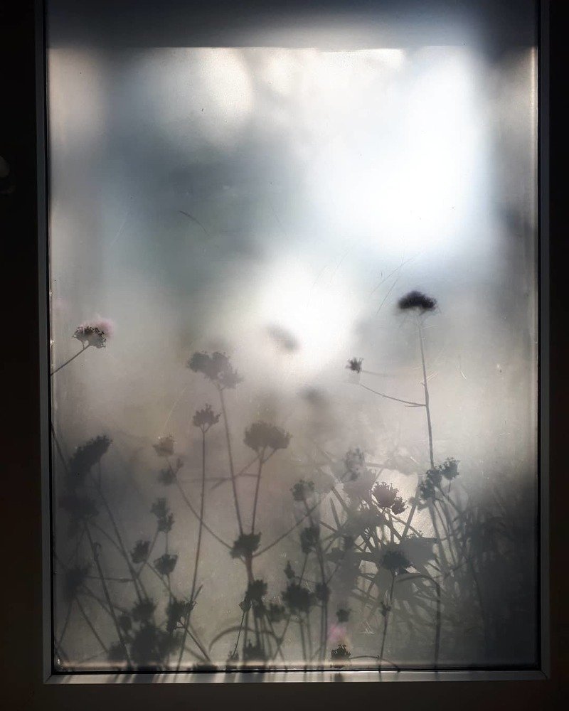 В окно стучится природа