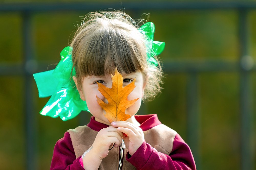 Красный, жёлтый, зелёный - это осень!