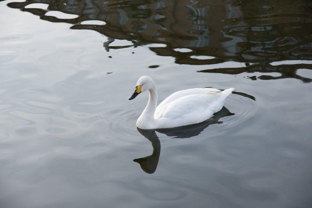 Photograph by Анна