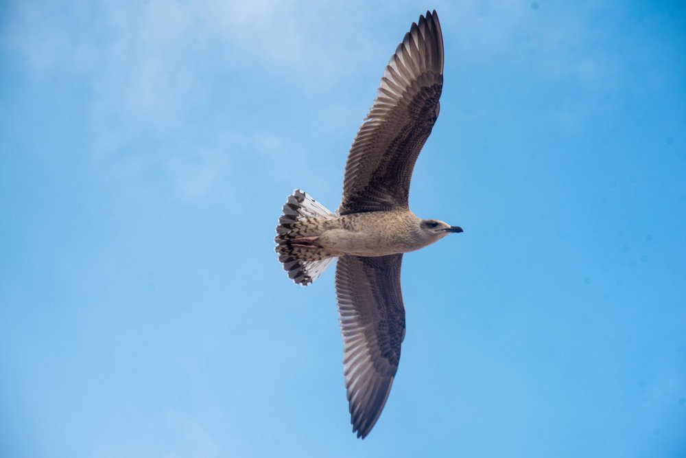 Photograph by Анна