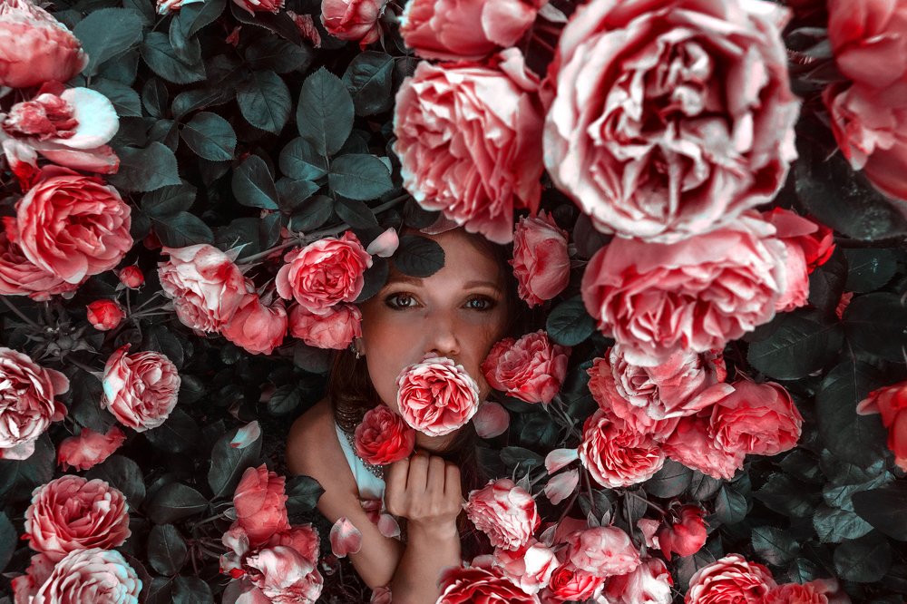 Фотография автора Александр Никитин