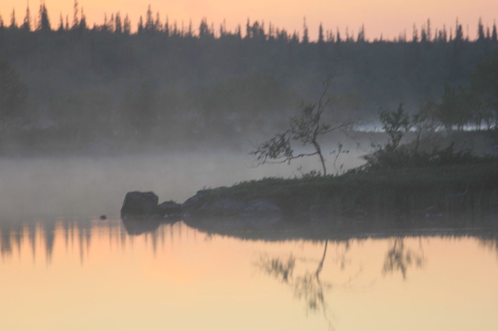 Photograph by Лада Денисова