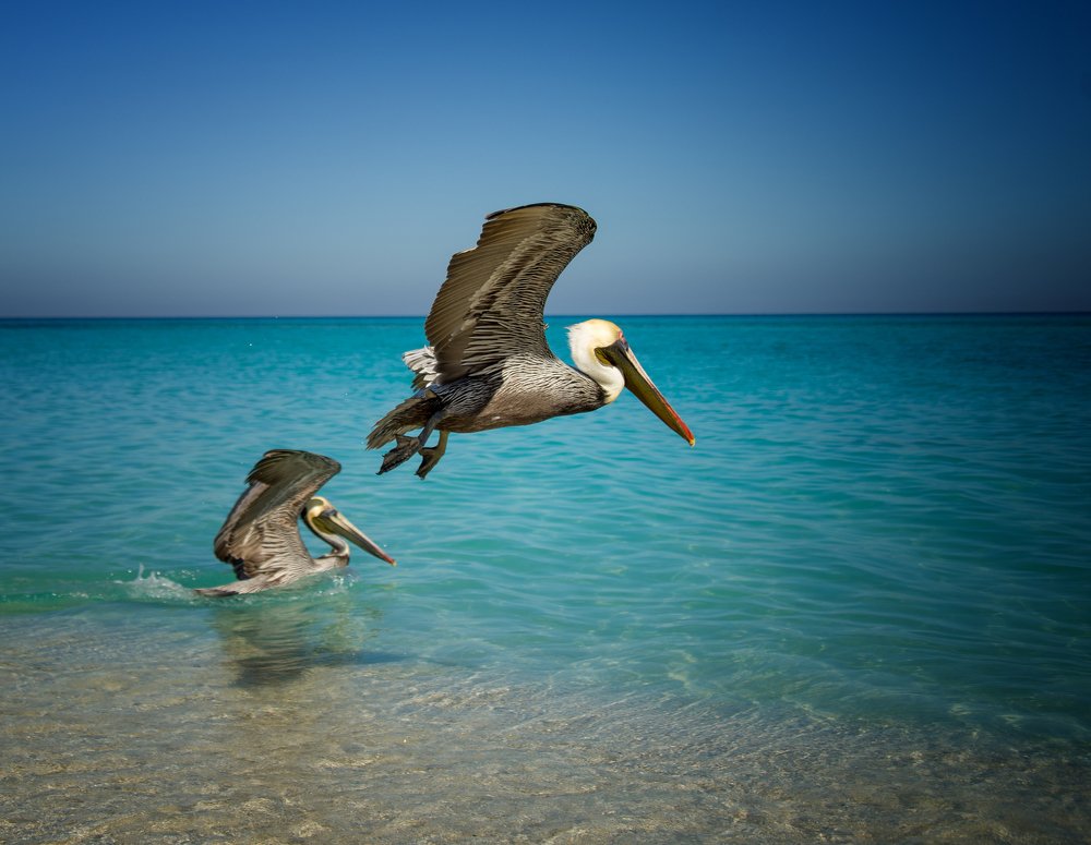 Photograph by svetlana Teteryatnik