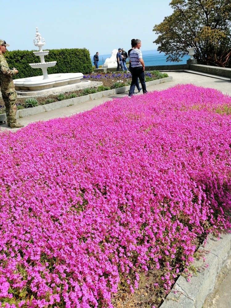 Аромат крымского лета