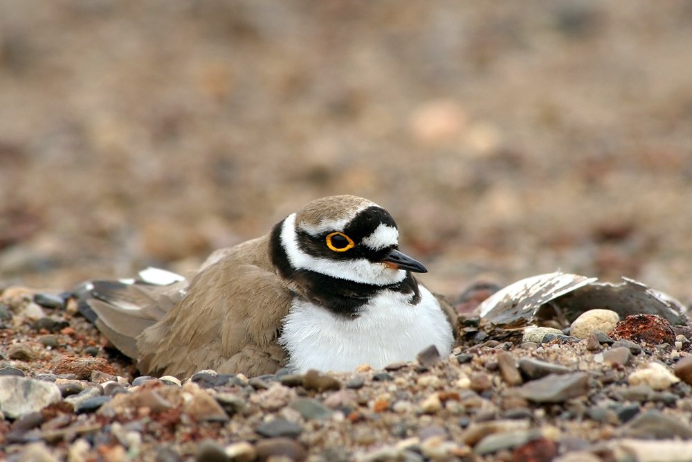 Photograph by Олег Фокин