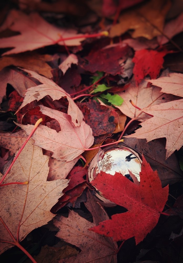 Фотография автора Alina Sandu