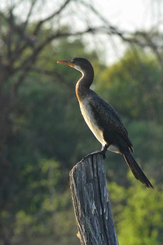 Photograph by Анатолий Орлов