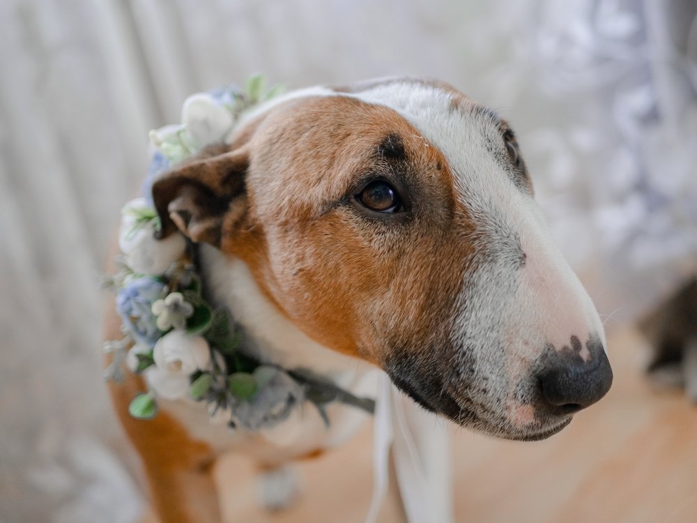 Photograph by Ekaterina Spiridonova