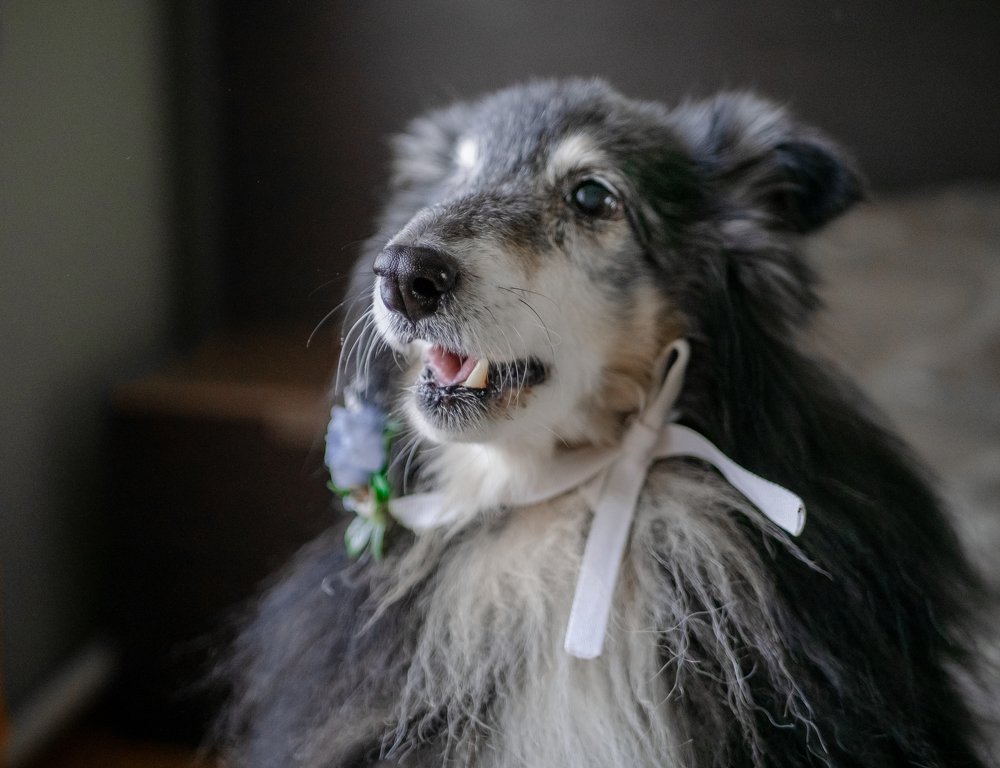 Photograph by Ekaterina Spiridonova