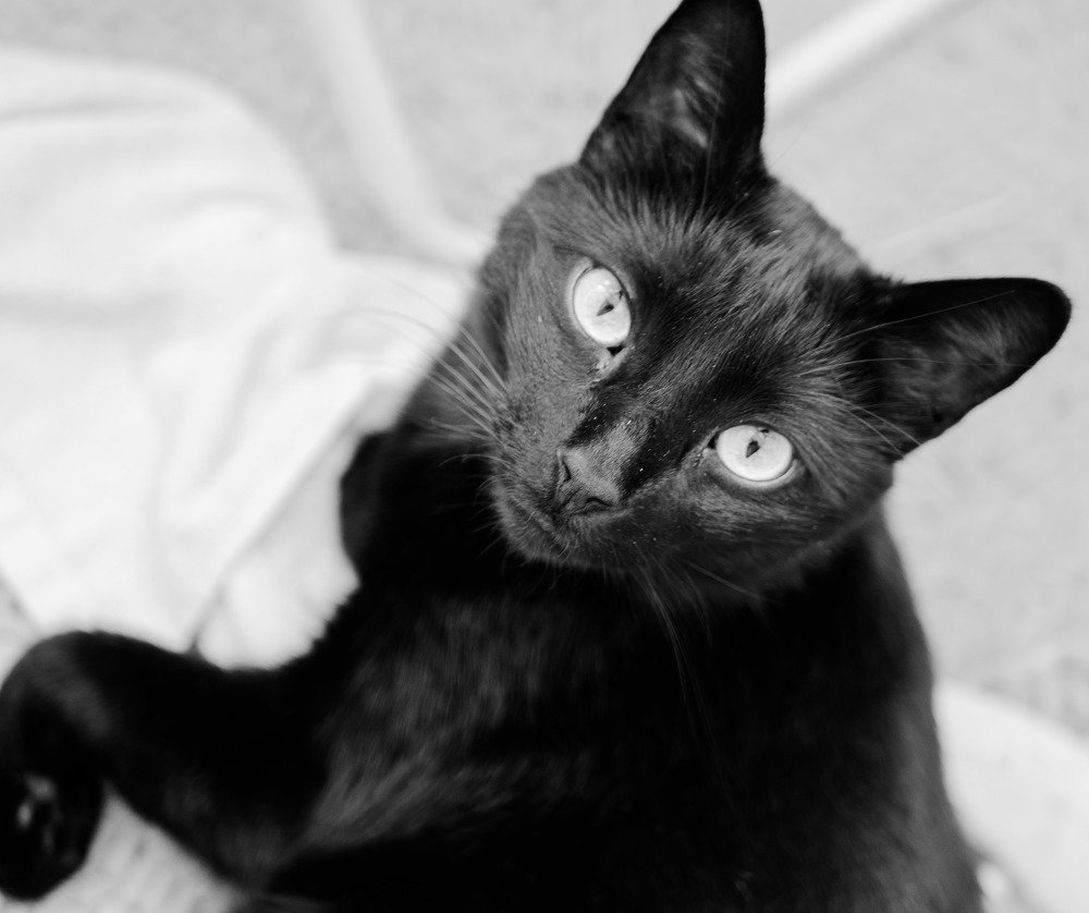 Photograph by Ekaterina Spiridonova