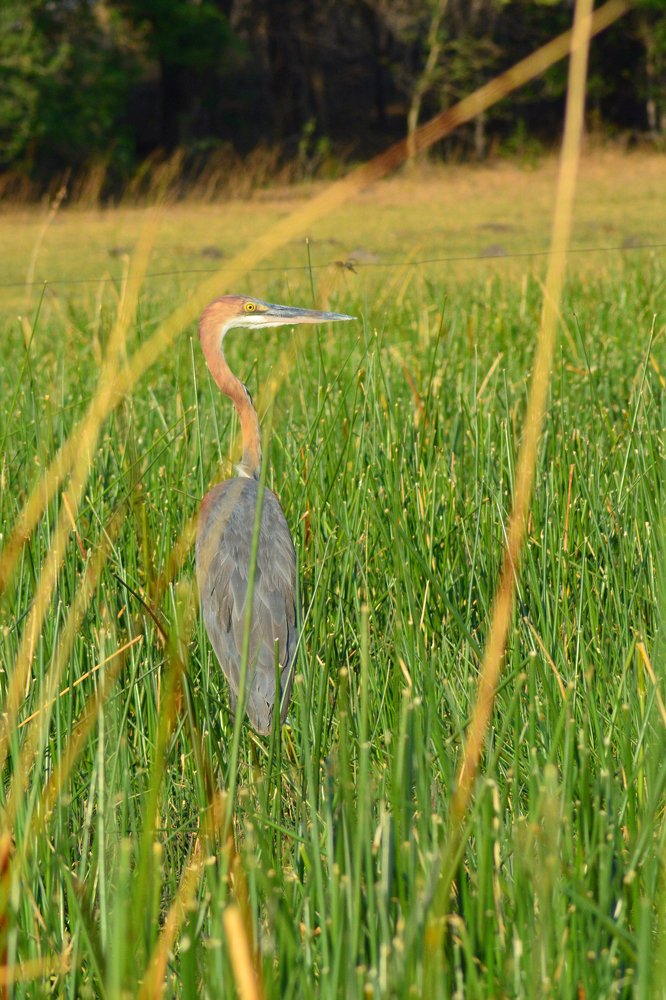 Photograph by Анатолий Орлов