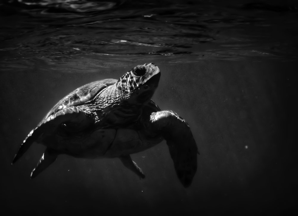 Фотография автора Sotiris Makrygiannis