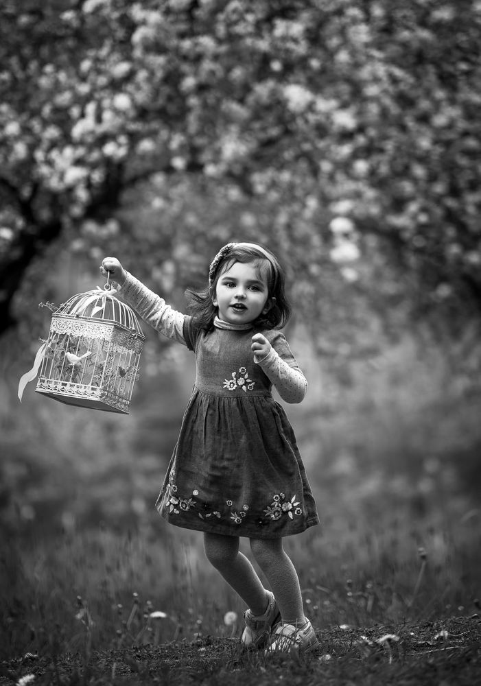 В погоне за мечтой