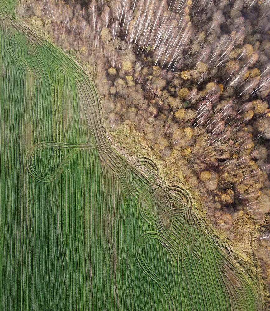 Photograph by Алексей Тихонов