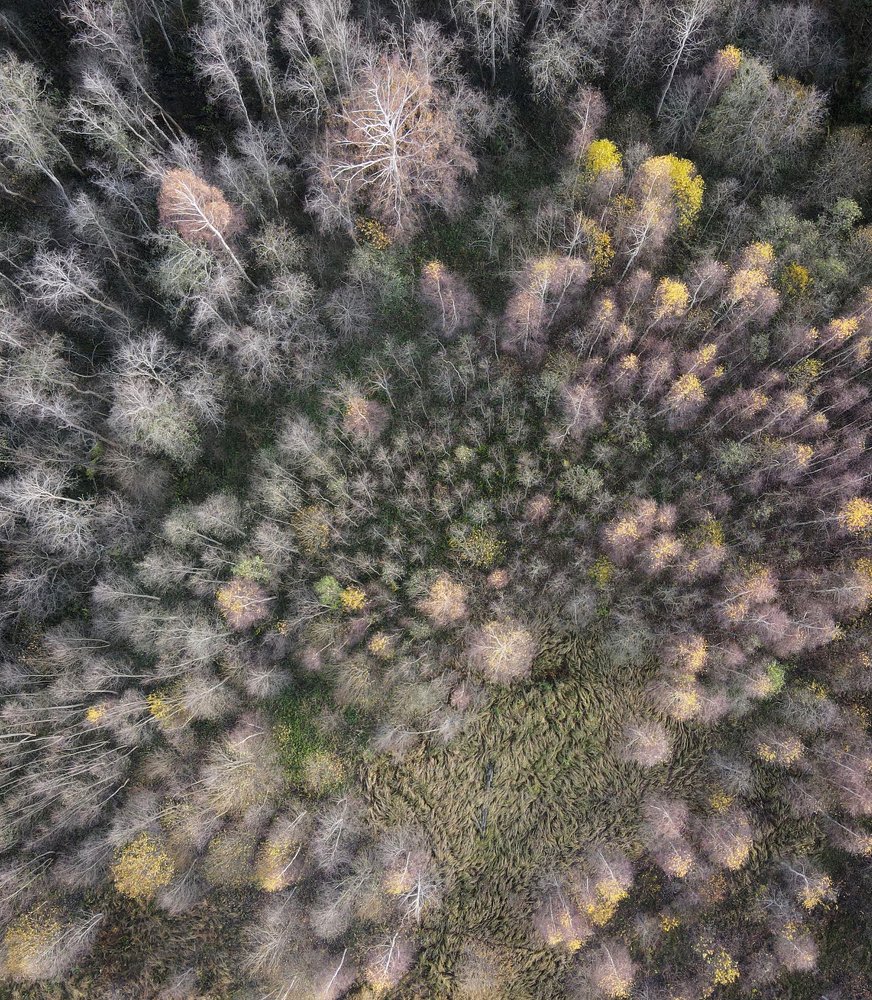 Photograph by Алексей Тихонов