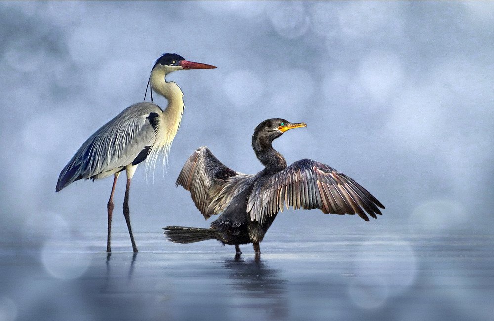 Photograph by Eduardo Modolo