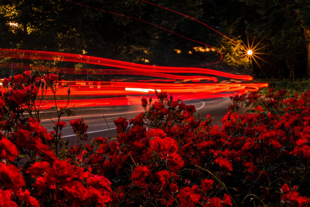 Photograph by Евгений Давыдов