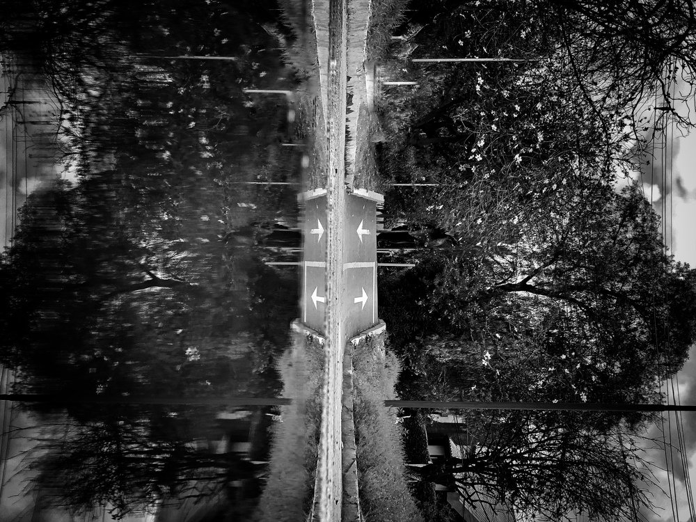 Photograph by Mateo Mercado