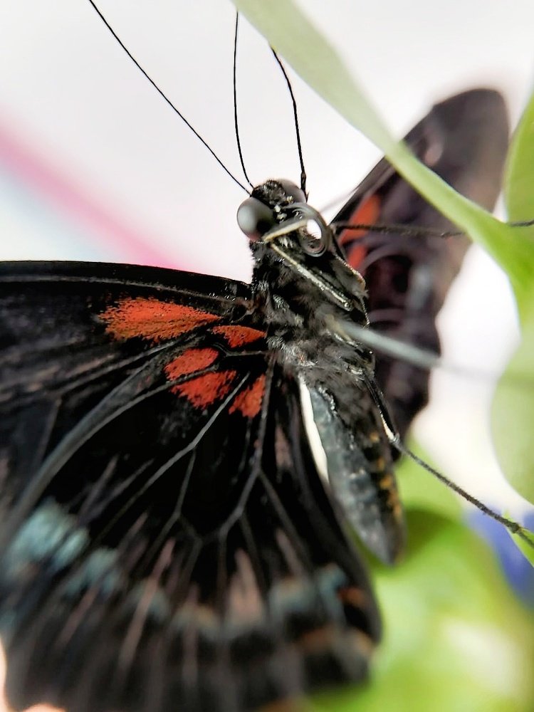 Photograph by Светлана Смирнова