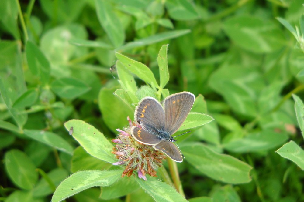 Photograph by Ольга Харламова