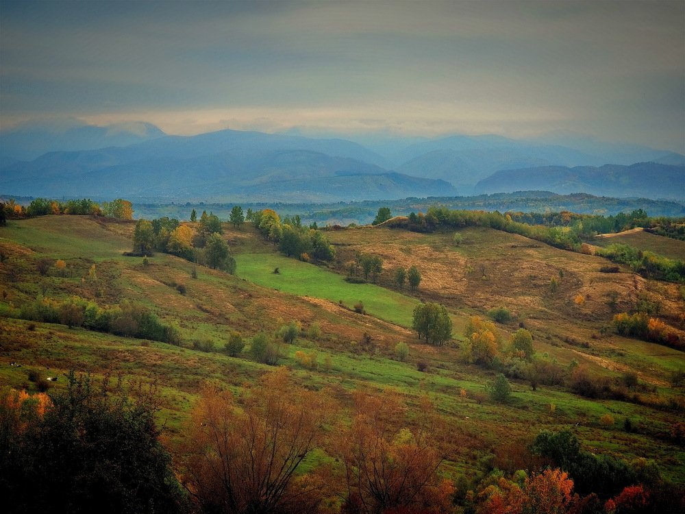 Photograph by Liviu Ionita