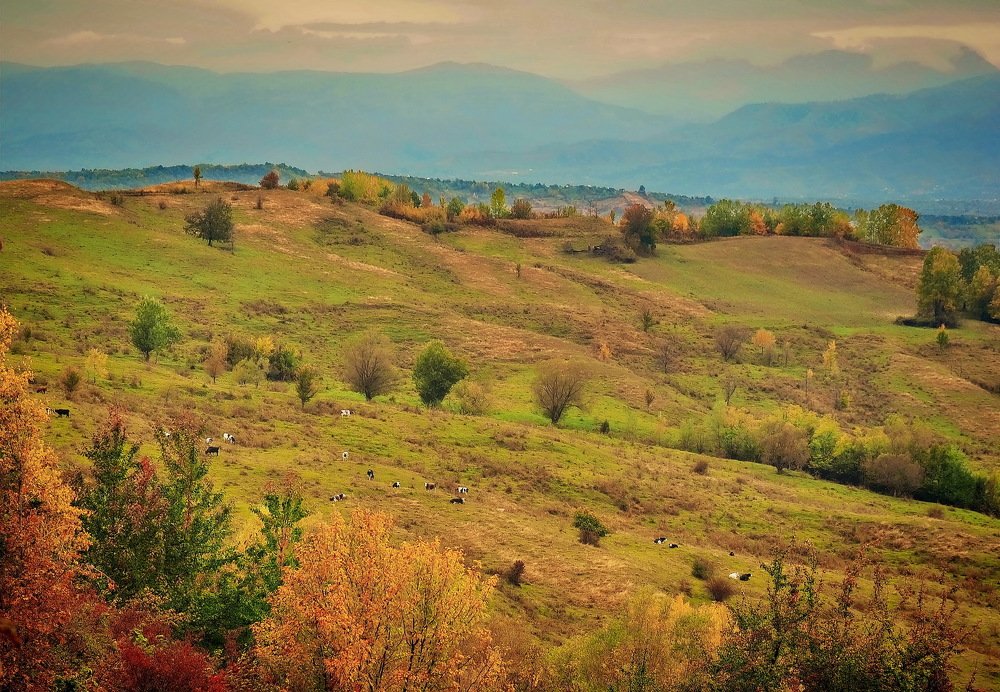 Photograph by Liviu Ionita