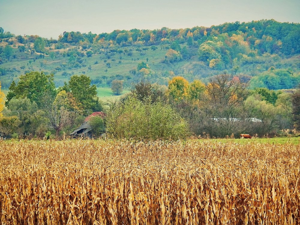Photograph by Liviu Ionita