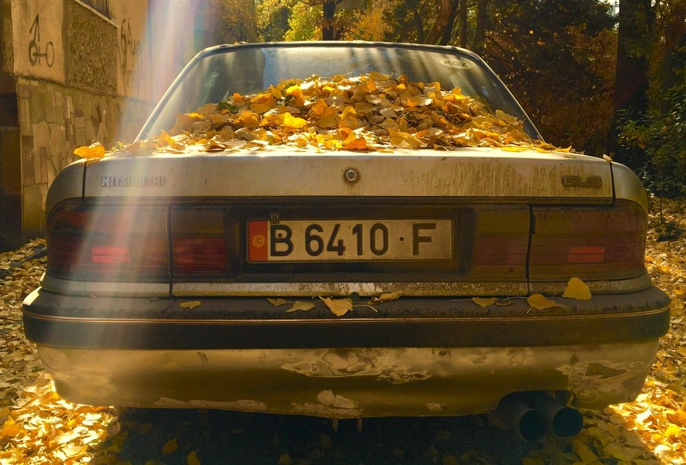 Photograph by Елена Ким