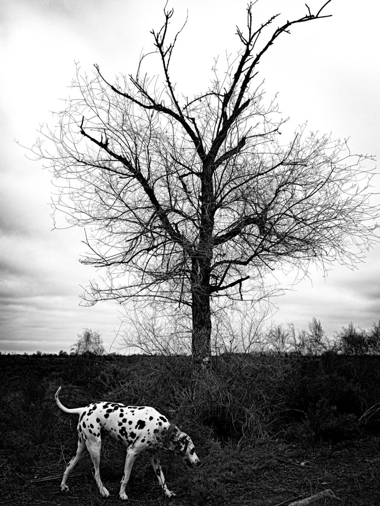 Photograph by Влад Имиров