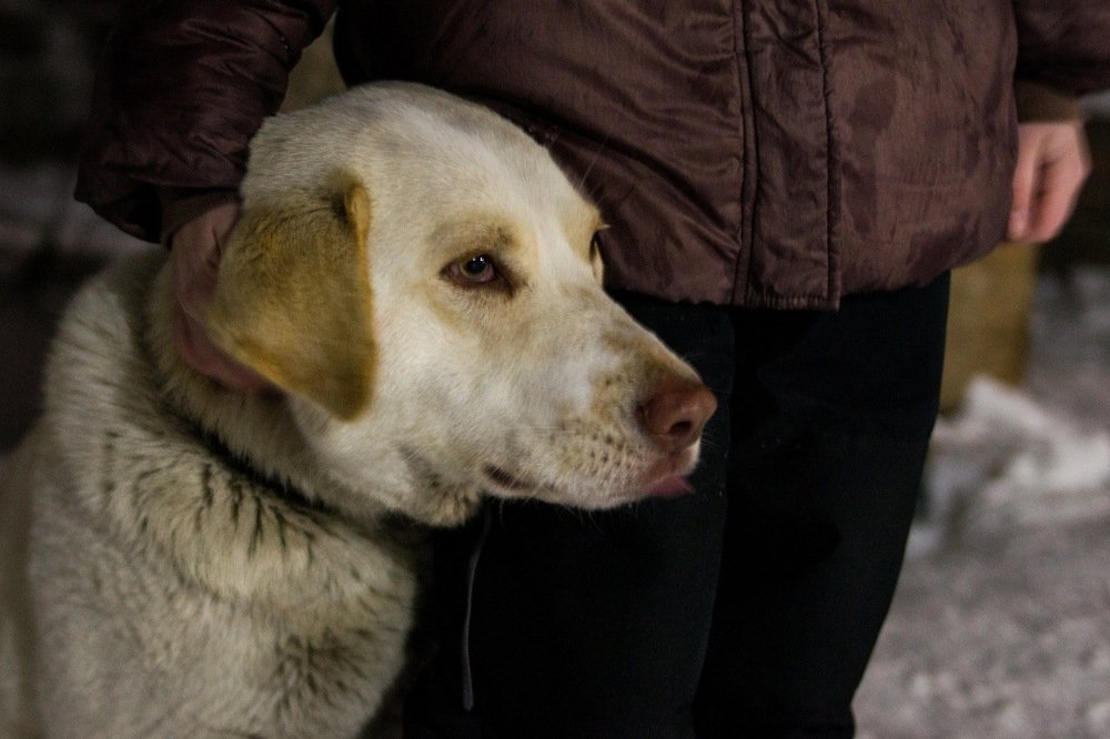 Photograph by Алена Бржезицкая