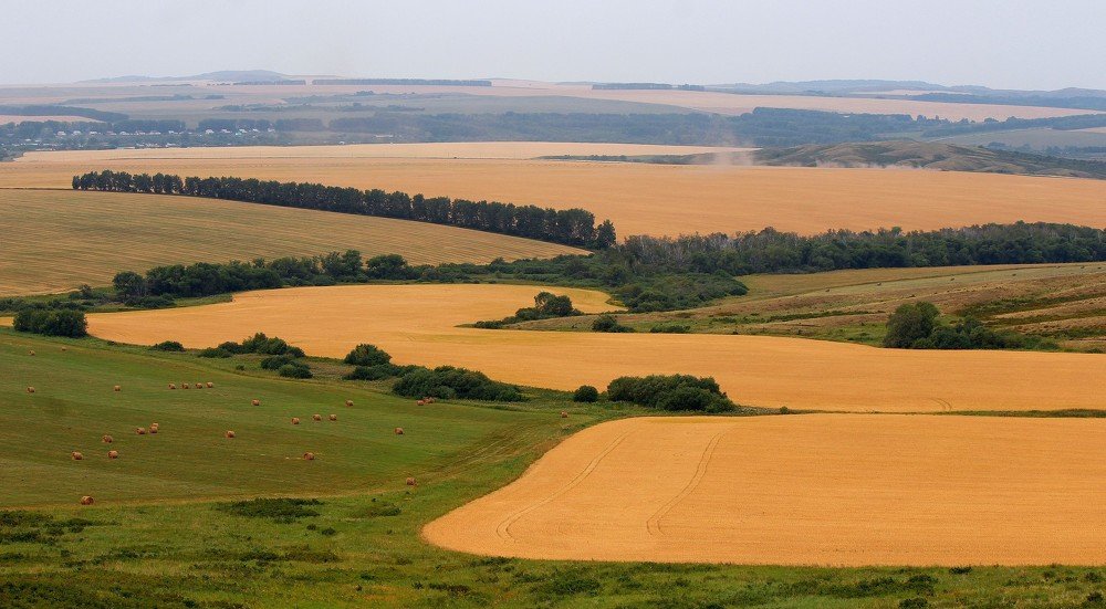 Photograph by Андрей Казанкин