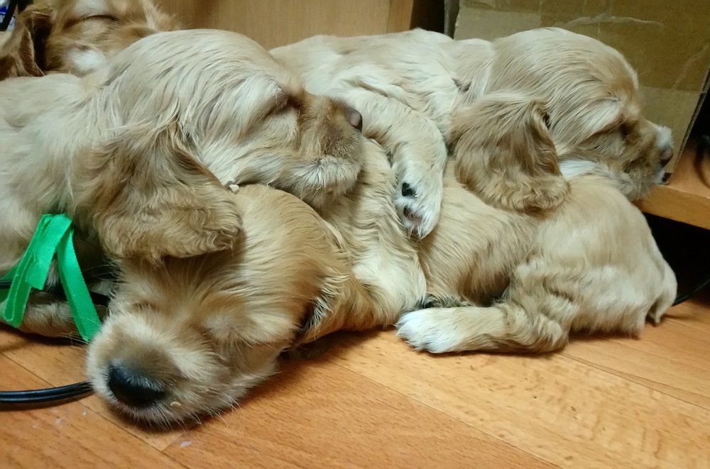 Photograph by Людмила Воропаева