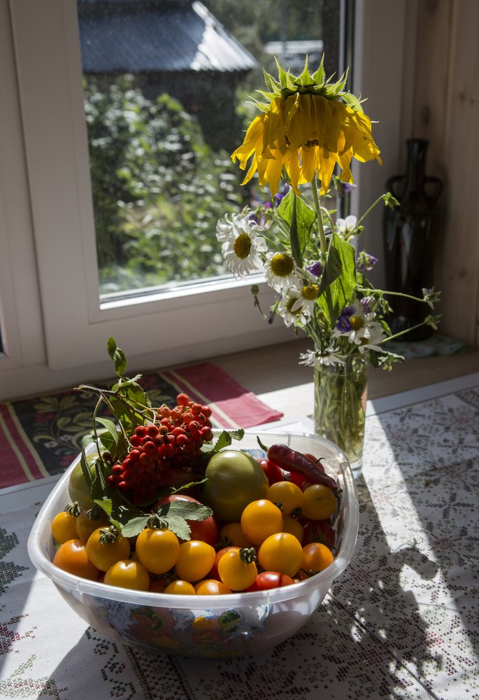 Photograph by Ирина Мутуль