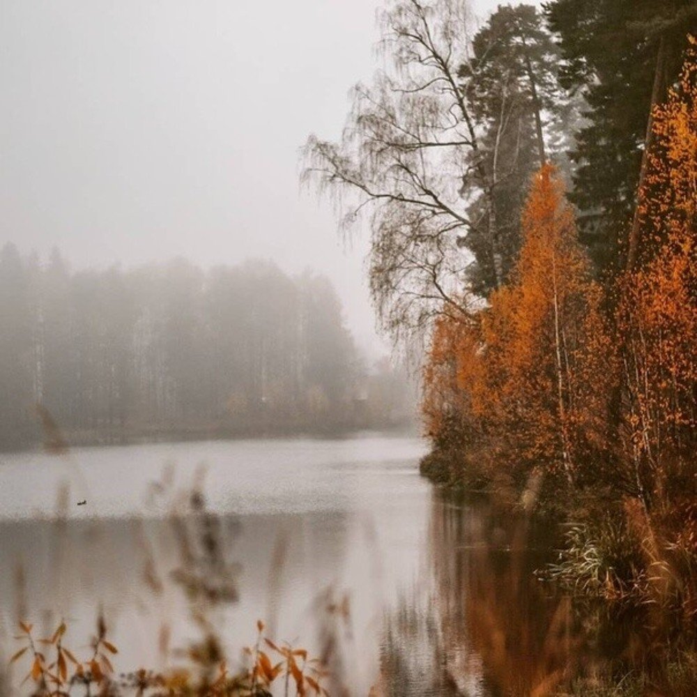 Photograph by Светлана Михайлова